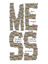 Imagen de portada para Mess